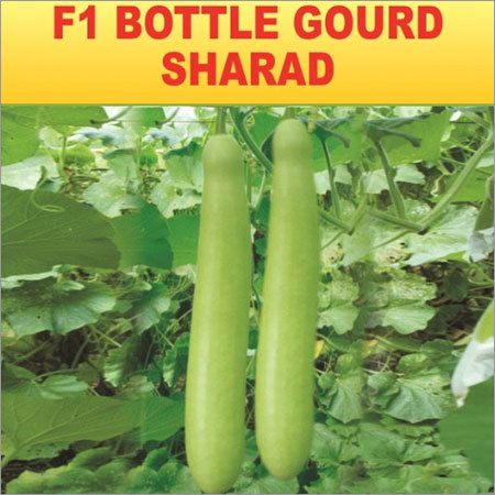 Bottle Gourd Seeds