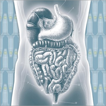 FTlyo Viral gastroenteritis