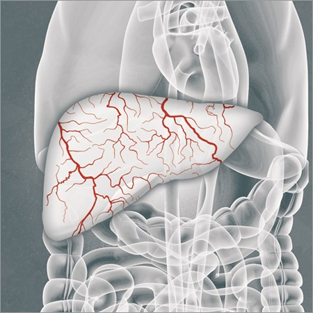 FTD Hepatitis B DNA