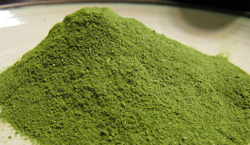 Moringa Leaves Powder