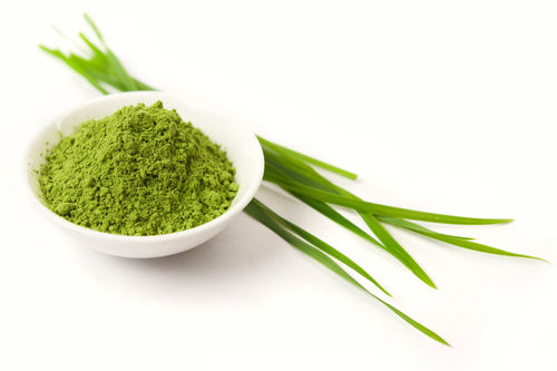 Wheat Grass Powder