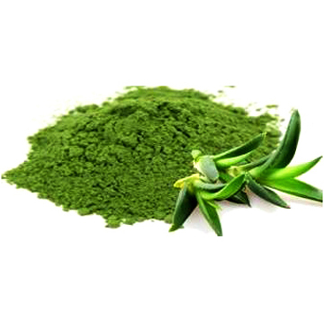 Aloe Vera Powder - Pure Organic Herbal Extract | Natural Skin Hydration Nutrient-Rich Superfood
