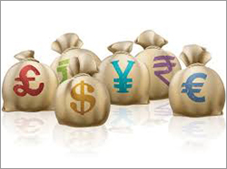 Foreign Investment Consultancy Services