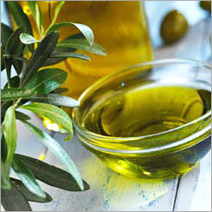 Olive Oil By SHIV SALES CORPORATION