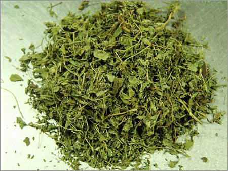 Fenugreek Leaves