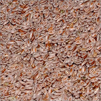 इसबगोल साइलियम हस्क