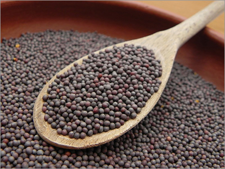 Mustard Seeds Black