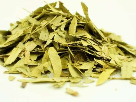 Senna Leaves