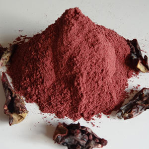 Prickly Pear Fruit Powder