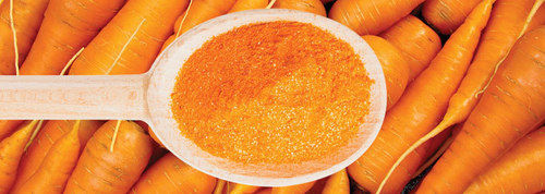 Carrot Powder