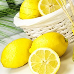 Lemon Oil By SHIV SALES CORPORATION