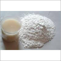 Adhesives Gums