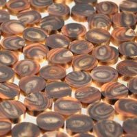 Rivet Buttons