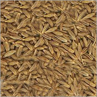 Whole Cumin Seeds - A Grade, Natural Color, 95-99.50% Purity | Organic, Preservative-Free, High Medicinal Value, Aromatic Flavor Enhancer
