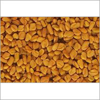 Whole Fenugreek Seeds - 99.50% Purity, Yellow Golden Color | Rich in Nutritional Value, Amazing Flavor, Long Shelf Life