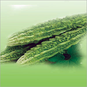 Momordica Charantia Capsules