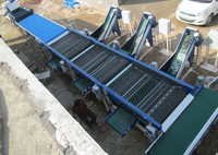 Onion Grading Machine