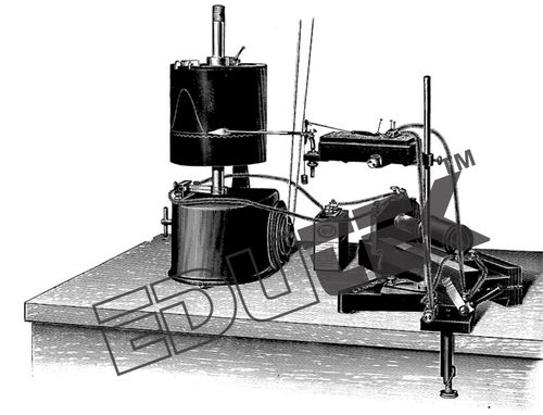 Muscle Twitch Assembly