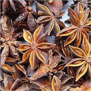 Anise Seed Oil - Pure Essential Oil | All Age Group, Cool & Dry Storage, 100% Natural Ingredients