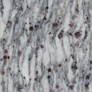 एसके ब्लू ग्रेनाइट