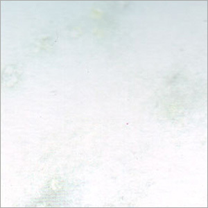 Fantasy White Marble