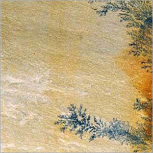 Fossil Sandstone