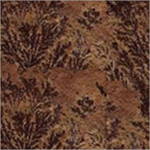 Fossil Natural Sandstone