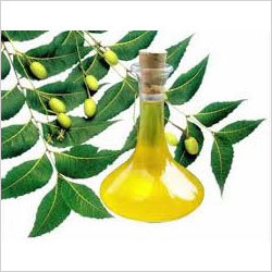 Neem Leaf Oil
