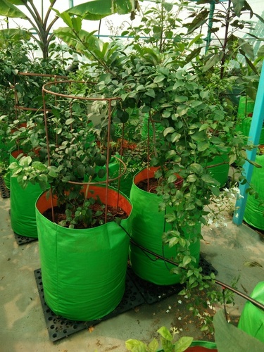 HDPE Plant Grow Bags (Green & Orange)