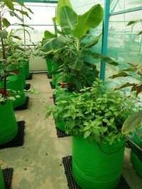 HDPE Garden Grow Bags