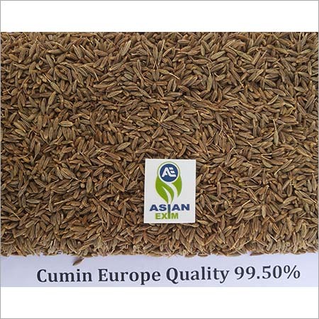 Europe Quality Cumin Seeds