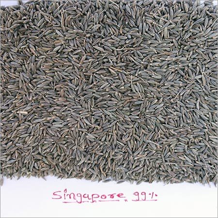 99% Quality Cumin Seeds - 95-99.5% Purity, Natural Color, A++ Grade | Excellent for Digestion, Bigger Size, Hygienically Processed
