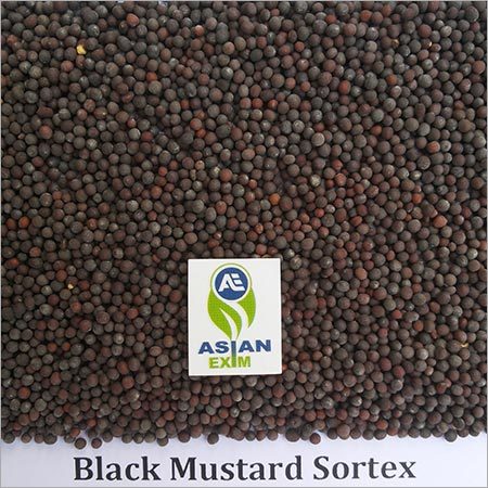 Black Mustard Seeds