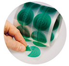Discs With Rings And Slit Back