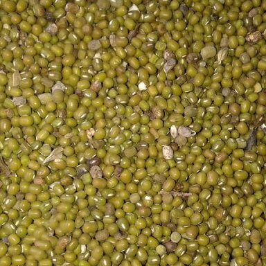 Mung Bean