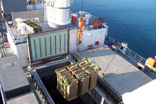 Break Bulk Cargo Handling Service