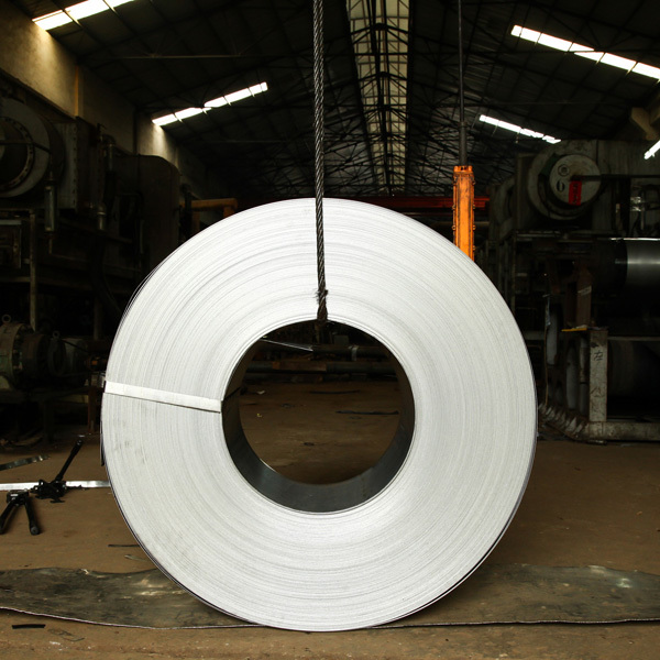 Stainless Steel Coils