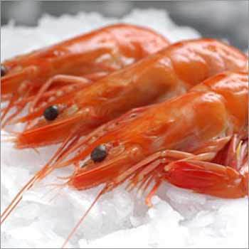 Frozen Vannamei Shrimp Cooked Head On Shell