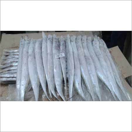 Ribbon Fish