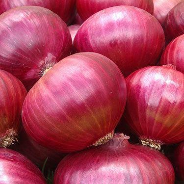 ONIONS