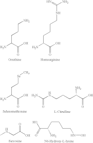 Amino Acid Standard