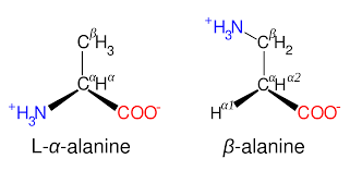 Amino acid standards for protein hydrolysates