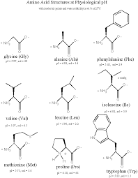 Amino acid standards, physiological