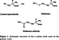 Amino acids in 0.1 mol/L hydrochloric acid