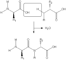 Amino Acids Mix Solution