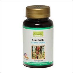 Guduchi Immune Booster