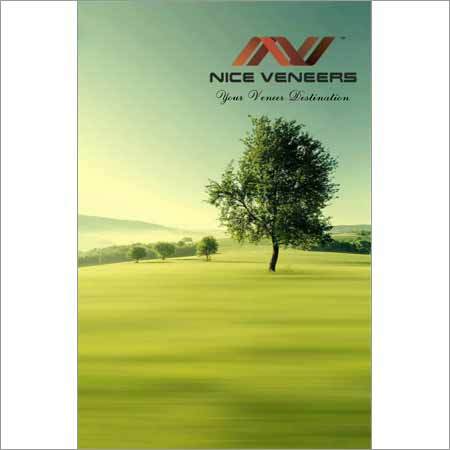 Wood Veneer Sheets