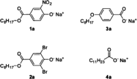 Anionic Surfactant - Wp