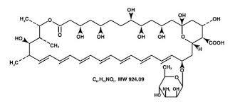 Amphotericin B for peak identification