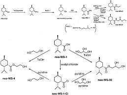 Anionic Surfactant - WS